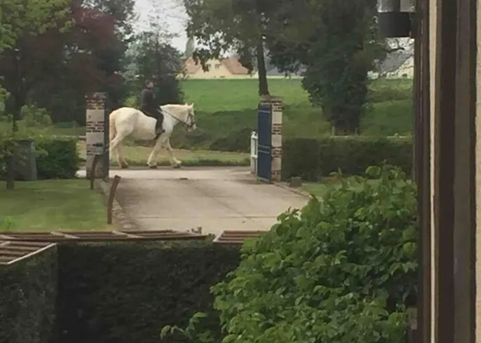 Maison Conviviale A Saint-nicolas-du-bosc Avec Terrasse *